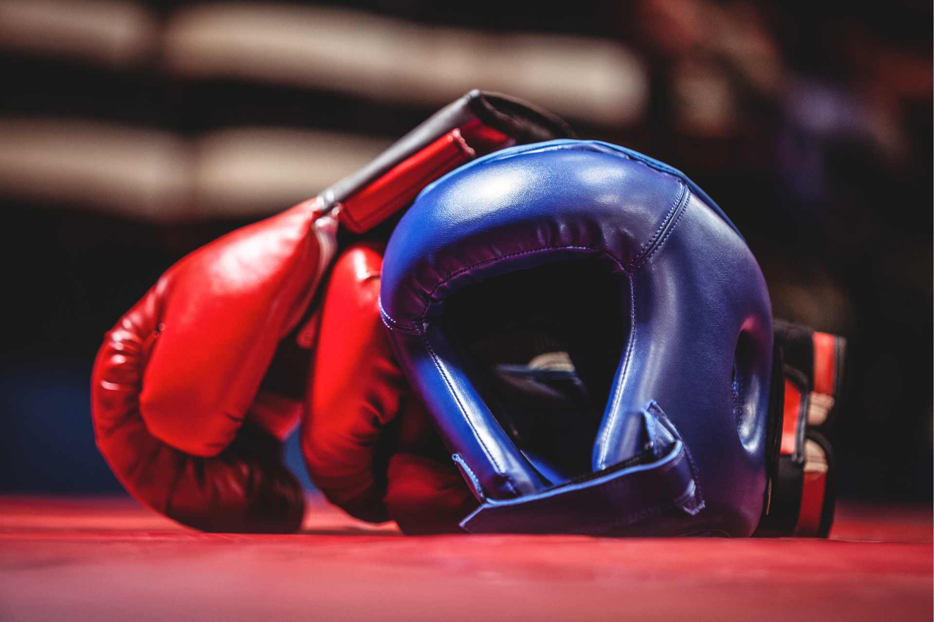 20250311 Boxing Gloves
